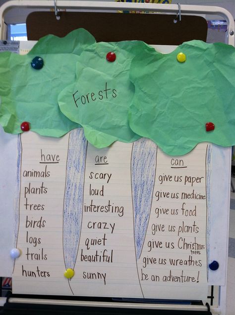 Forests anchor chart...Reading Street Life in the Forest Tree Of Life Pictures, Forest Crafts, Rainforest Theme, Jungle Thema, Elementary Lessons, Thinking Maps, Plants Unit, 1st Grade Science, First Grade Science