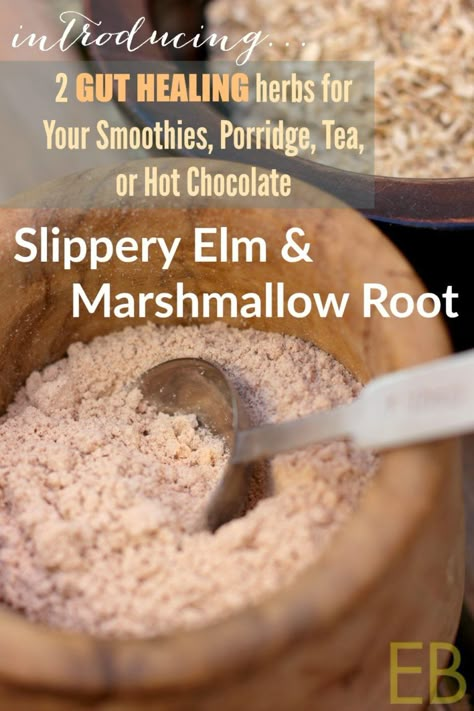 Eat Beautiful, Slippery Elm, Marshmallow Root, Herbal Healing, Herbs For Health, Gut Healing, Leaky Gut, Healing Food, Healing Herbs