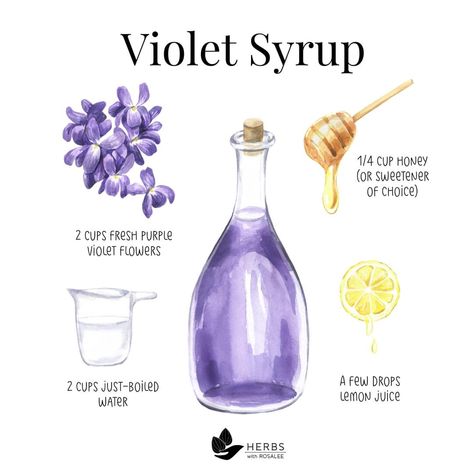 Magic Potion Recipe, Witchy Drinks, Herbal Syrups, Herbal Potions, Apothecary Recipes, Diy Syrup, Violet Syrup, Cottagecore Recipes, Lemon Juice Water