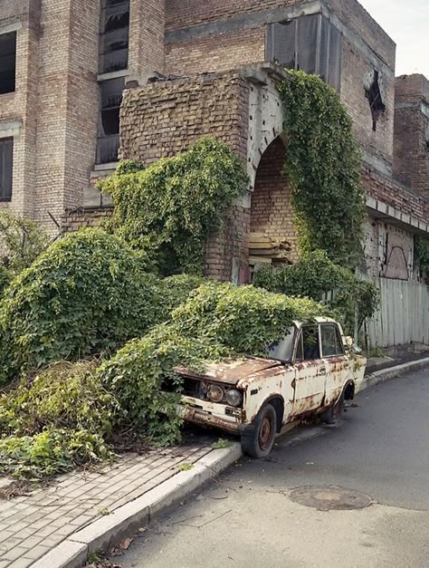 Nature Overtaking, Overgrown City, Soft Apocalypse, Beautiful Ruins, Castles In Ireland, Between Two Worlds, Tikal, Pedestrian Bridge, Land Rover Series