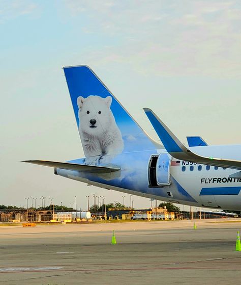 Frontier Airlines in Chicago at T5. Frontier Airlines, American Airlines, Love My Job, Airlines, Passenger, Chicago, Aircraft