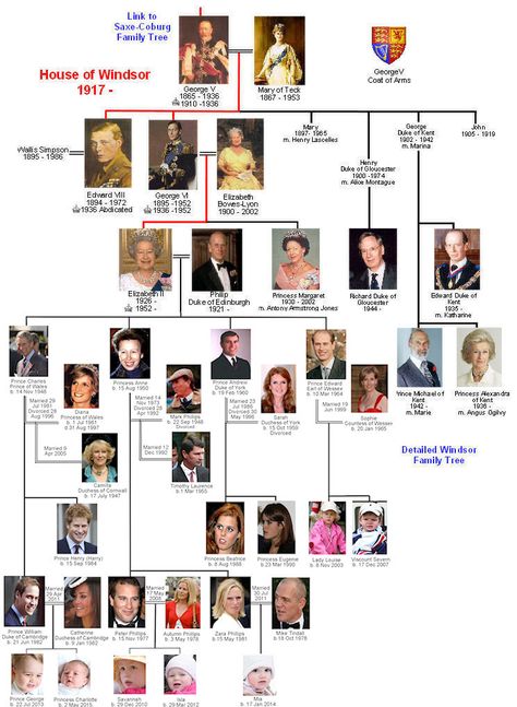 House of Windsor Family Tree – Tudors Dynasty Windsor Family Tree, Family Tree House, Windsor Family, British Royal Family Tree, Royal Family History, Royal Family Trees, Historia Universal, British Royal Families, House Of Windsor