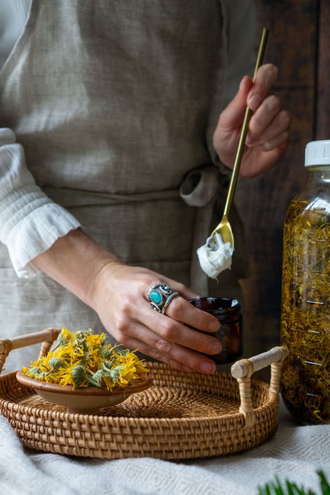 Shelf-Stable Calendula Cream Recipe Herbal Medicine Photography, Herbal Product Photography, Tea Photoshoot, Herbalist Shop, Ingredients Photography, Herbal Witch, Chamomile Plant, Calendula Cream, Herbal Academy