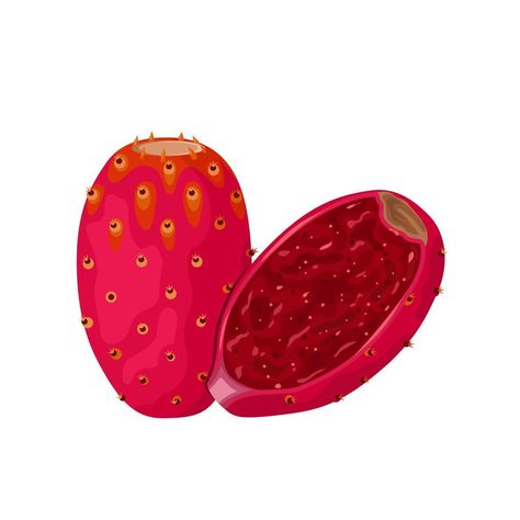 Cactus Fruit Tattoo, Prickly Pear Embroidery, Prickly Pear Illustration, Prickly Pear Cactus Drawing, Prickly Pear Tattoo, Prickly Pear Fruit, Pear Drawing, Cactus Pears, Cast Jewelry