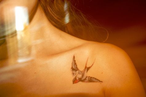 the sparrow. placement. Swallow Tattoo Ideas, Sparrow Tattoo Design, Tattoo 2015, Sparrow Tattoo, Interesting Tattoos, Bone Tattoo, Swallow Tattoo, Sweet Tattoos, Text Tattoo