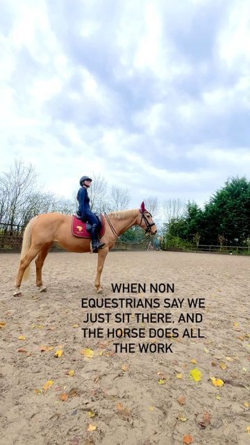 Delila on Instagram: "If only people can see how much work as riders we have to do! Well now they know !! Wearing out matchy @pamojaequestrian set and @carlingford.equestrian baselayer and leggings Disclaimer: do not attempt at home, stunts performed by a crazy horse girl 😜🤣 #horse #equine #equestrian #horsesofinstagram #contentcreator #horselife #horsegirl #horseriding #horsebackriding #influencer #gifted #funny" Show Jumping Aesthetic, Girl Horse, Horse Life, Show Jumping, Crazy Horse, Horse Girl, Horseback Riding, Base Layer, Equestrian