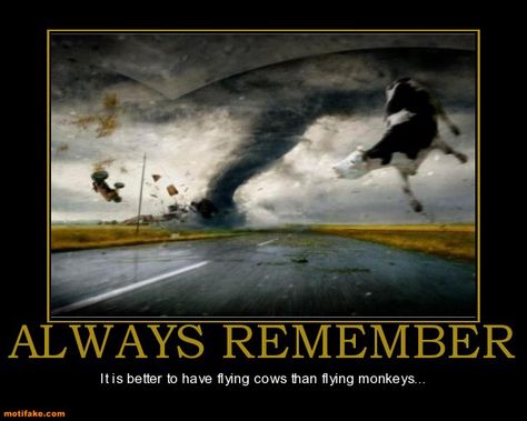 Flying Monkeys, Demotivational Posters, Always Remember, Monkeys, Memes Quotes, Funny Pictures, Memes, Funny, Movie Posters