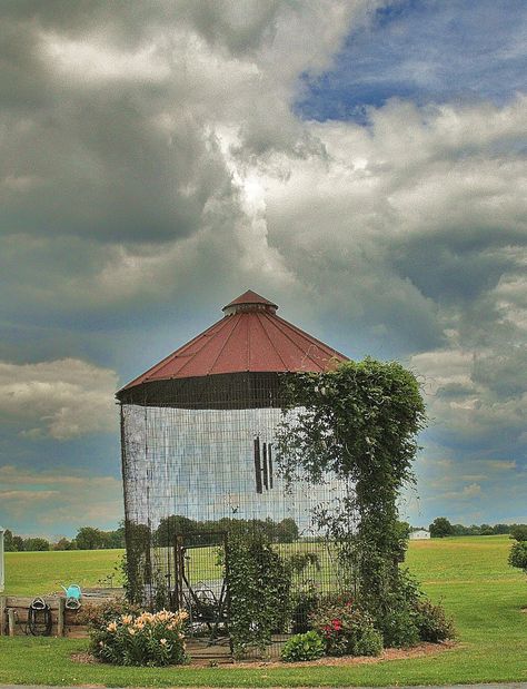 Mini Chapel, Gazebo Design Ideas, Bluebird Houses, Country Backyard, Garden Folly, Gazebo Design, Grain Bins, Roadside Stand, Home Relaxing