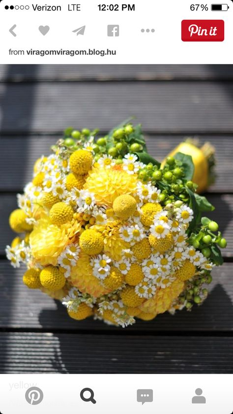 Billy Buttons Bouquet, Yellow Flowers Bouquet, Chrysanthemum Wedding, Chrysanthemum Bouquet, Yellow Chrysanthemum, Yellow Bouquets, Billy Balls, Billy Buttons, Button Bouquet