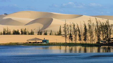 WHY YOU SHOULD VISIT MUI NE, THE HIDDEN GEM OF SOUTHERN VIETNAM  : Picture a fishing village with Sahara-like dunes, add a dash of the best seafood you’ll ever taste, and you have some idea of the magic that's to come... Read on for more reasons why Mui Ne is a must-visit when in Vietnam. Vietnam Guide, Vietnam Backpacking, Vietnam Voyage, Vietnam Tours, Halong Bay, Limousin, Going On Holiday, Best Beaches, Fishing Villages