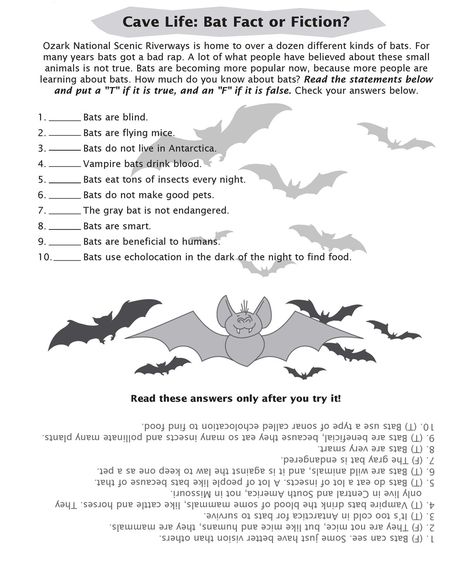 Halloween Nibbles, Bat Lessons, Bat Facts, Daisy Troop, Creepy Animals, Fact Or Fiction, Halloween Creepy, Montessori Classroom, Daycare Crafts