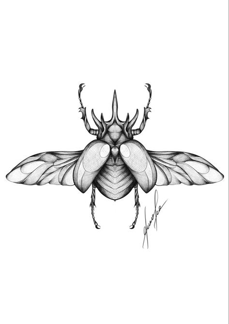 Beetle Drawing Tattoo, Beetle Tattoo Design, Scarab Beetle Tattoo, Scarab Tattoo, Beetle Drawing, Butterfly Tattoos Images, Beetle Tattoo, Beginner Tattoos, Egypt Tattoo