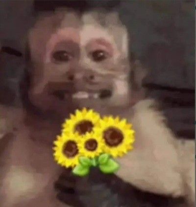 Monkey Holding Flower, Monkey Reaction Pic, Pretty Monkey, Monkey Pfp, Monkey Meme, Funny Monkey Pictures, Cute Monkeys, Monkey Cute, Monkey Icon