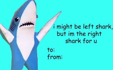 Meme Valentines Cards, Bad Valentines Cards, Left Shark, Bad Valentines, Valentines Memes, Valentines Day Memes, Funny Valentines Cards, Alphonse Elric, My Funny Valentine