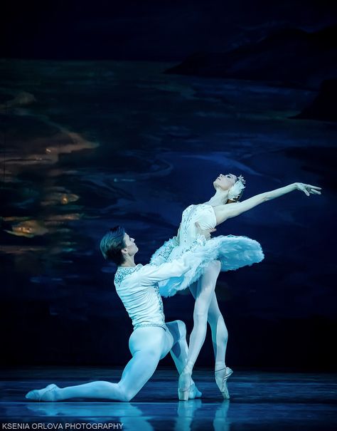 Iana Salenko, Swan Lake Ballet, Ballet Beauty, Lake Photos, Swan Lake, Roman Empire, Verona, Statue Of Liberty, Cinderella