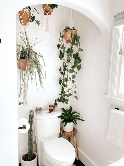 Bathroom Nook, Ericeira Portugal, Boho Style Bathroom, Spanish Bungalow, Bohemian Bathroom, Plant Tips, Chinese Money Plant, Hanging Plants Indoor, Macrame Plant Holder