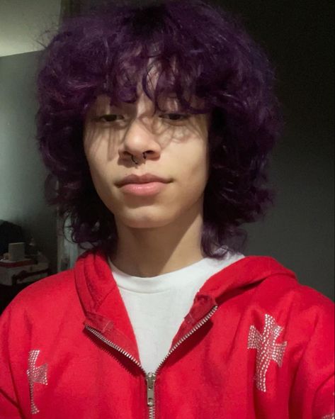 Purple Curly Hair Men, Manifest Challenge, Purple Hair Men, Curly Purple Hair, Dyed Hair Men, Crazy Mind, Concert Hairstyles, Best Hair Dye, Buzzed Hair