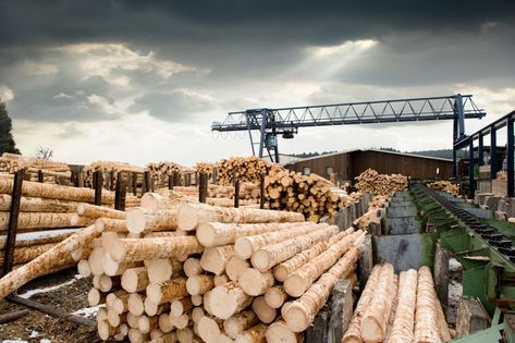 Lumber plunges for seventh day on demand fears, supply chain chaos (Commodity:LB1:COM) | Seeking Alpha Primary Sector, Sawmill Lumber, Logging Industry, Lumber Mill, Log Siding, Mother Earth News, Show White, Industrial Buildings, Housing Market