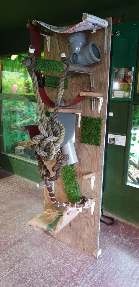 Climbing frame for snakes Creative Snake Enclosures, Diy Corn Snake Enclosure, Snake Climbing Diy, Reptile Enrichment Ideas, Pvc Snake Enclosure, Diy Snake Enclosure Decor, Snake Enrichment Ideas, Snake Enrichment Diy, Hog Nose Snake Enclosure