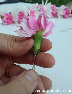 Making a flower lei is much easier than it looks. See how I made a floral necklace with fresh flowers. Great for graduation, mothers day, or weddings. Flower Lei Diy, Wedding Arch Diy, Making A Flower, Good Gifts For Parents, Flower Shop Interiors, Wedding Gift Money, Graduation Flowers, Headband Crafts, Flower Lei