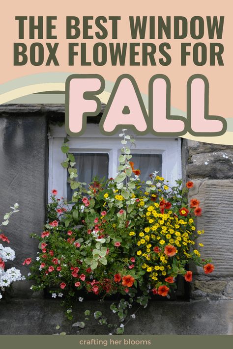 Porch Rail Planter Boxes Fall, Call Window Boxes, Window Flower Boxes Fall, Easy Window Box Flowers, Fall Flower Boxes Window Mums, Fall Flowers For Window Boxes, Autumn Window Box Ideas, Fall Flower Window Box Ideas, Window Boxes For Fall