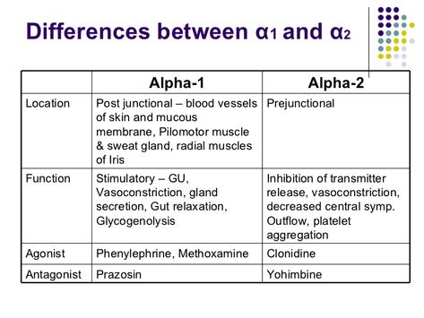 Paramedic Student, Neurological System, Pharmacology Nursing, Sweat Gland, Anatomy And Physiology, Biochemistry, Pharmacology, Paramedic, Blood Vessels