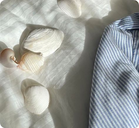 White seashells sitting on a white comforter with blue and white striped shirt draped next to it White Shell Aesthetic, Seaside Cottage Aesthetic, Aesthetic Shells, Seashell Aesthetic, Shells Aesthetic, Seashell Photography, Granddaughter Coastal, Cottage Seaside, Coastal Grandmother Aesthetic