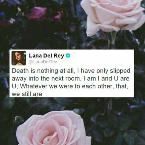 Lana Tweets, Lana Del Rey Tweets, Lana Quotes, Lana Del Rey Quotes, Ldr Quotes, Lana Del Rey Vinyl, Lana Del Rey Lyrics, Shes Perfect, Lana Del Ray