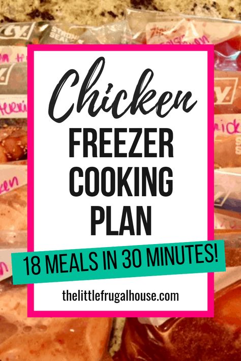 Chicken Freezer Cooking Plan: 18 Meals in 30 Minutes Beef Freezer Meals, Chicken Freezer, Chicken Freezer Meals, Freezer Dinners, Budget Freezer Meals, Easy Cheap Dinners, Freezable Meals, Freezer Meal Planning, Make Ahead Freezer Meals