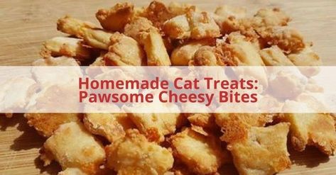 Cat Homemade Treats, Soft Cat Treats Homemade, Homemade Kitty Treats Easy Diy, Cat Treats Homemade Easy No Bake, Homemade Lickable Cat Treats, Homemade Cat Treats Recipes, Diy Cat Food, Catnip Treats, Pumpkin Dog Treats