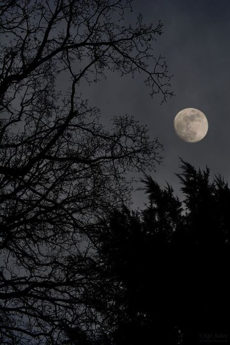 Dark Naturalism, The Moon Is Beautiful, Look At The Moon, Moon Moon, Sky Moon, Moon Pictures, Moon Photography, Beautiful Moon, Photography Beautiful