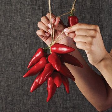 Braiding Garlic, Dry Peppers, Chile Ristra, Chili Peppers Decor, Village Dress, Dried Red Chili Peppers, American Desert, Hatch Chiles, Dried Chili Peppers