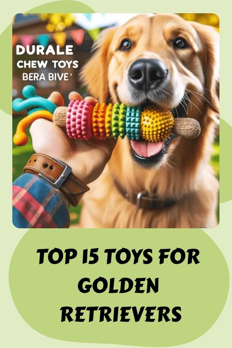 Top 15 Toys for Golden Retrievers Best Puppy Toys To Keep Them Busy, Golden Retriever Care, Golden Retriever Toys, Golden Retriever Stuffed Animal, Golden Retriever Therapy Dog, Tough Chewer Dog Toys, Yellow Labrador Retriever, Best Toys, American Kennel Club