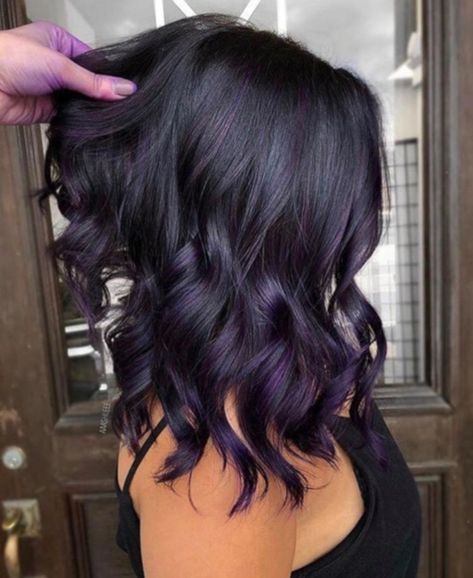 Dark Violet Hair With Highlights, Eggplant Balayage Dark Brown, Black With Violet Highlights, Dark Brown Hair Balayage Purple, Dark Brown And Violet Hair, Dark Brown To Purple Balayage, Purple Balayage On Dark Hair, Black Hair With Purple Ombre, Dark Purple Almost Black Hair