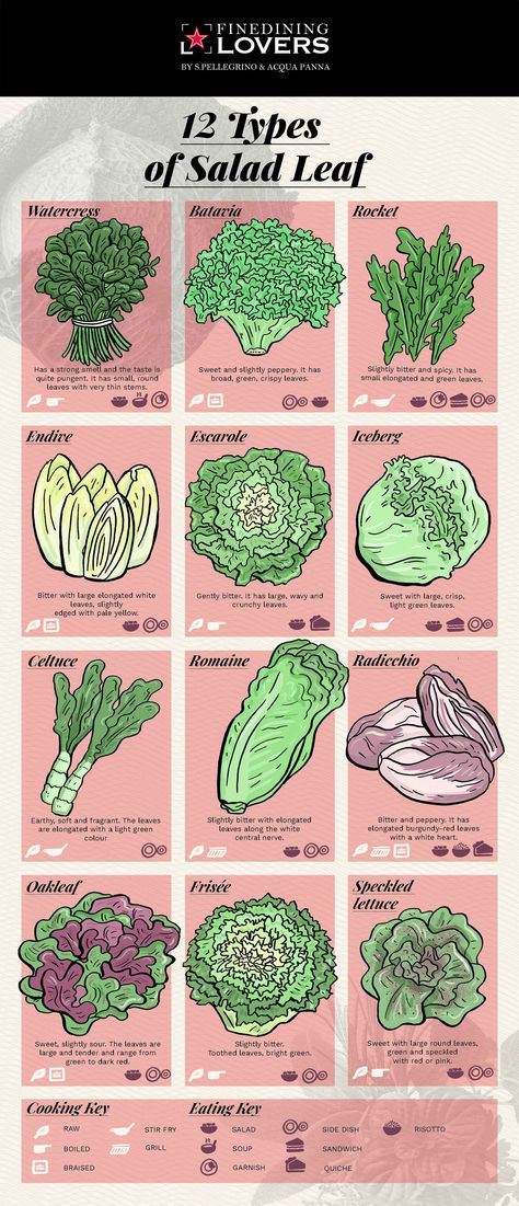 Avocado Varieties, Sangiovese Wine, Types Of Onions, Tuscan Recipes, Perfect Dinner Party, Types Of Salad, Food Infographic, Salad Leaves, Vidalia Onions