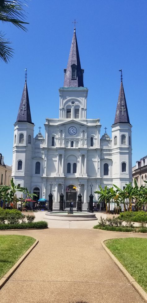 New Orleans Cathedral, St Louis Cathedral New Orleans, New Orleans Architecture, St Louis Cathedral, Willow Creek, Vector Portrait, New Orleans Louisiana, French Quarter, Travel Board