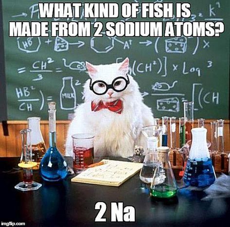 The Best of the Chemistry Cat Meme: Chemistry Cat - Sodium Fish Cat Birthday Memes, Science Cat, Chemistry Cat, Science Puns, Chemistry Humor, Nerd Jokes, Chemistry Jokes, Teacher Memes, Science Jokes