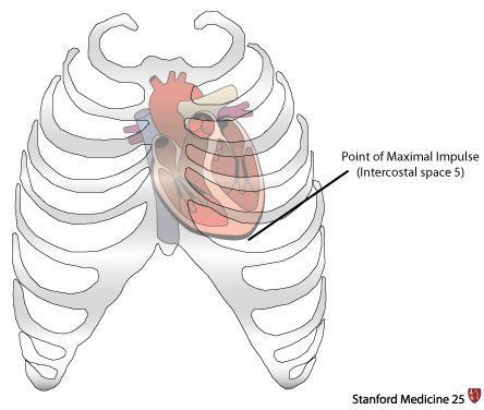 pmi medical - Google Search Apical Pulse, Nursing Math, Cardiac Cycle, Enlarged Heart, Pleural Effusion, Mitral Valve, Heart Sounds, Basic Skills, Cardiology