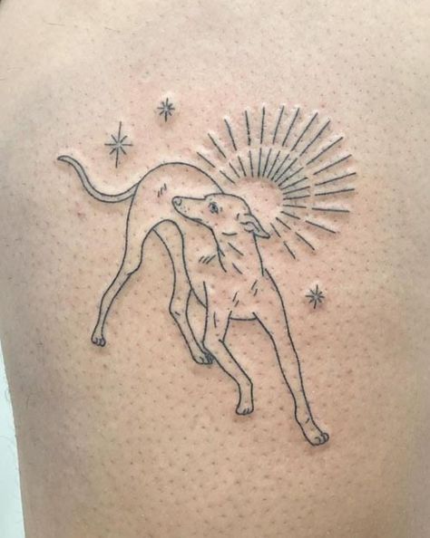 50 Amazing Greyhound Tattoos in Popular Styles | Inku Paw Animal Lover Tattoo, Greyhound Tattoo, Tatoo Dog, Tattoo Sonne, Tattoos For Dog Lovers, Dog Paw Tattoo, Greyhound Art, Paw Tattoo, Sun Tattoos