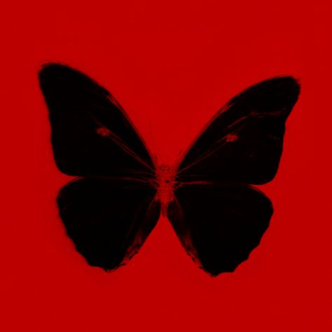 Red Aesthetic Profile Picture, Red Pfps, Techno Art, Aesthetic Profile Picture, Emo Emo, Red Gothic, Aesthetic Profile, Red Icons:), Red Butterfly