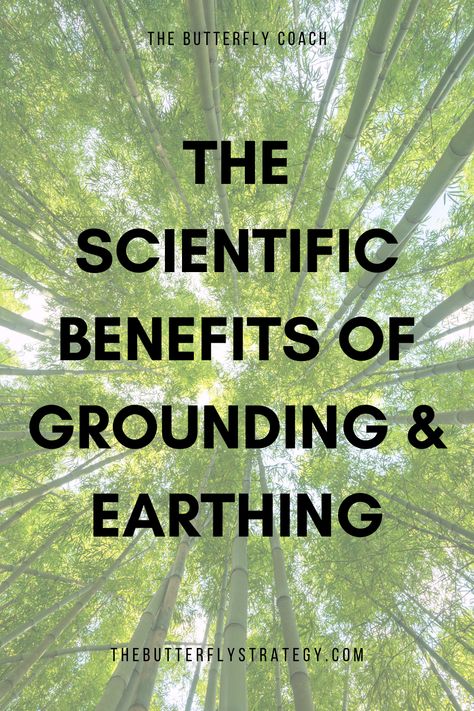 The Scientific Benefits of Grounding & Earthing 2025 Intentions, Grounding Benefits, Benefits Of Grounding, Eco Therapy, Crunchy Life, Grounding Shoes, Earth Grounding, Forest Therapy, Grounding Exercises