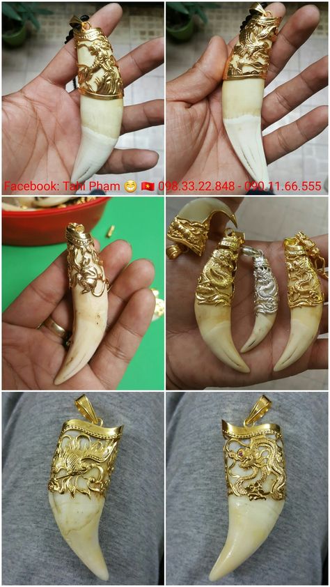 Lion Tooth Pendant, Tiger Nail Locket For Men, Lion Nails, Boar Tusk, Mens Wedding Rings Gold, Antique Gold Bracelet, Tiger Tooth, Rajputi Jewellery, Antler Necklace