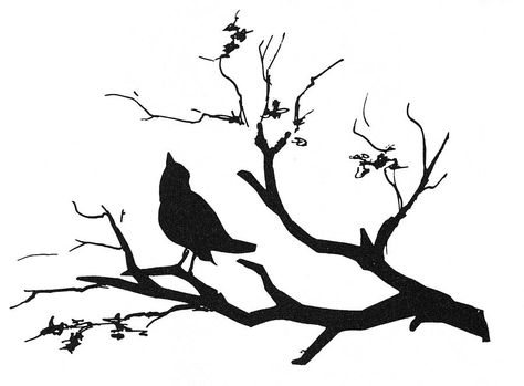 Bird On Branch Clip Art - Cliparts.co Birds Silhouette, Friendship Tattoo, Fairy Silhouette, Branch Art, Modern Birds, Silhouette Stencil, Bird Silhouette, Animal Silhouette, Bird On Branch