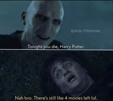 Memes Movie, Harry Potter Quotes Funny, Harry Potter Parody, Funny Harry Potter Jokes, Harry Potter Memes Hilarious, Harry Potter Puns, Harry Potter Pin, Funny Harry Potter, Harry Potter Feels