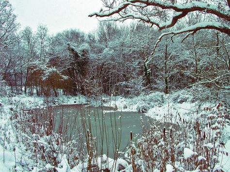 January Embers, Setting Aesthetic, Sketchbook Practice, Amy March, Visual Book, Winter Fire, Brush Codes, Ice Lake, Frozen Pond