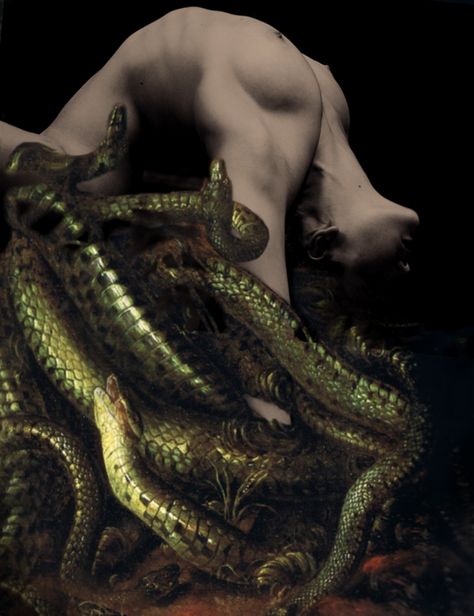 I was never really insane except upon occasions when my heart was touched. - Edgar Allan Poe Male Villain Aesthetic, Snake Aesthetic, Rennaissance Art, Snake Art, Edgar Allan, A Snake, Ethereal Art, Dark Art, Dark Aesthetic