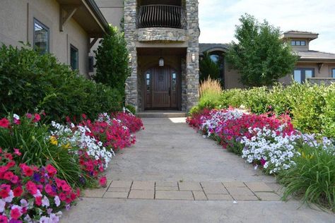 Annual Flower Beds Design, Create A Flower Bed, Flower Bed Decor Ideas, Annual Flower Beds, Flower Bed Decor, Colorful Flower Beds, Flower Bed Designs, Short Plants, Annual Flowers