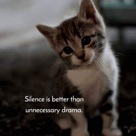 Daily quote, positive quote Silence Is Better, Al Qur'an Photography, Tiny Quotes, Doodle Quotes, Silence Quotes, Daily Quotes Positive, Moments Quotes, Cute Inspirational Quotes, Postive Life Quotes