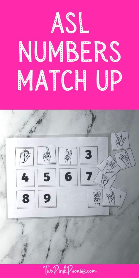 Image with text that says ASL Numbers Match Up with an image of the printable printed and laminated below it Learn American Sign Language, Sign Language Games Free Printable, Asl Games, Learn Sign Language Free, Asl Activities, Sign Language Numbers, Sign Language Games, Asl Numbers, Asl Classroom