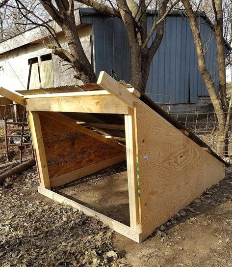 Hog Shelter, Pig Shelter Diy, Sheep Shelter, Pig Shelter, Outdoor Cat Shelter, Livestock Shelter, Goat Shelter, Goat Pen, Shelter Ideas